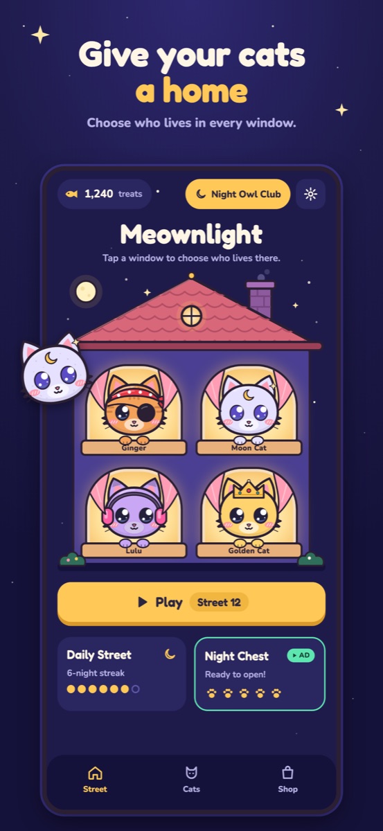 The house, with a cat in each window
